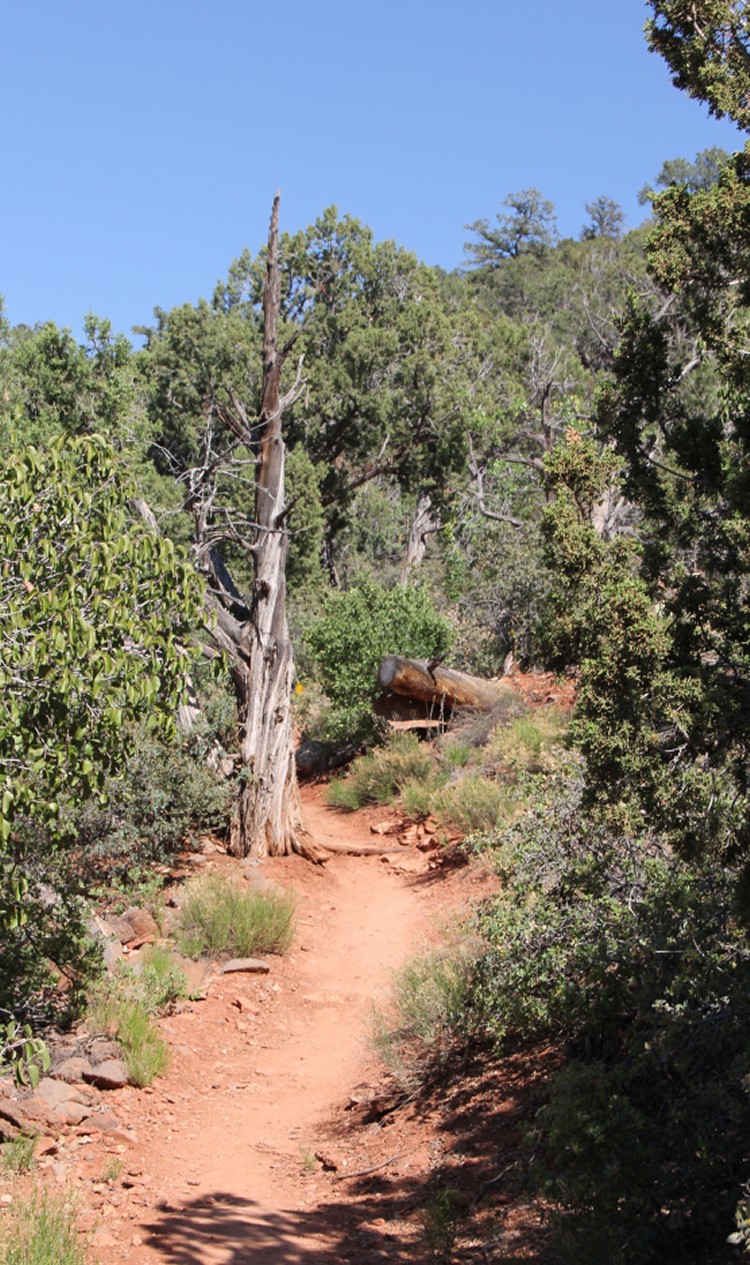 Bandit Trail